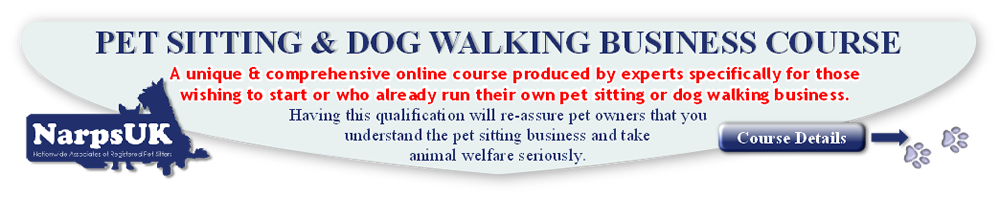 Pet Sitting Course Banner
