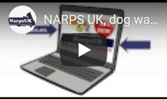 NARPS UK, dog walking business