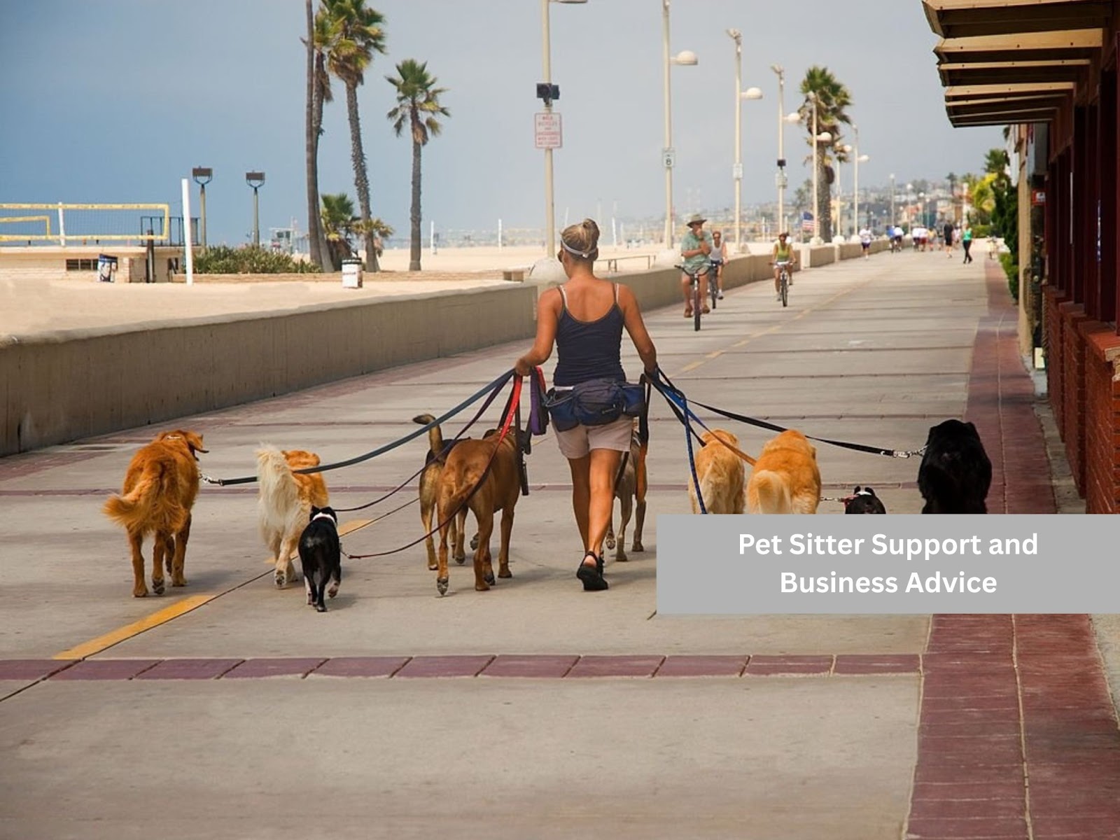 Pet Sitter Support and Advice
