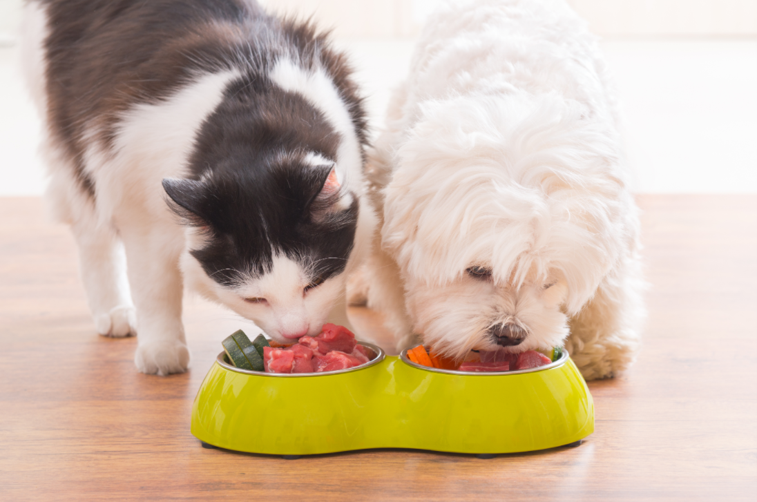 Wholefood Pet Diets Guide by NarpsUK
