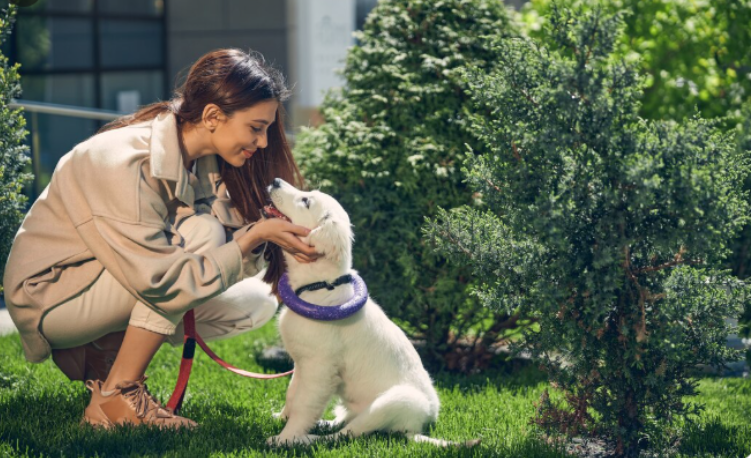 Pet Sitters Eco-Friendly Services
