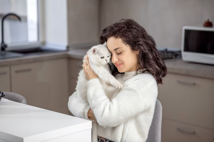 Cat Ownership