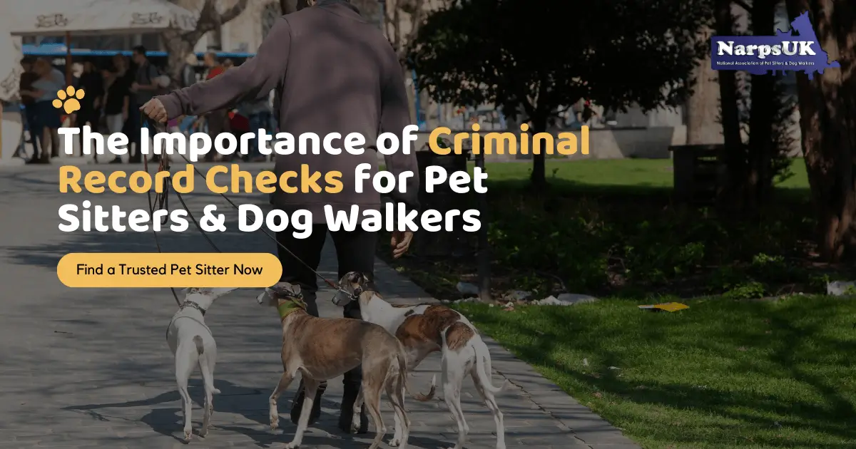 The Importance of a Criminal Record Check for Pet Sitting | NarpsUK