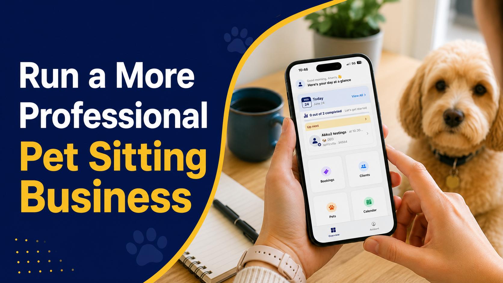 Pet sitter using a pet sitting app to manage a professional business