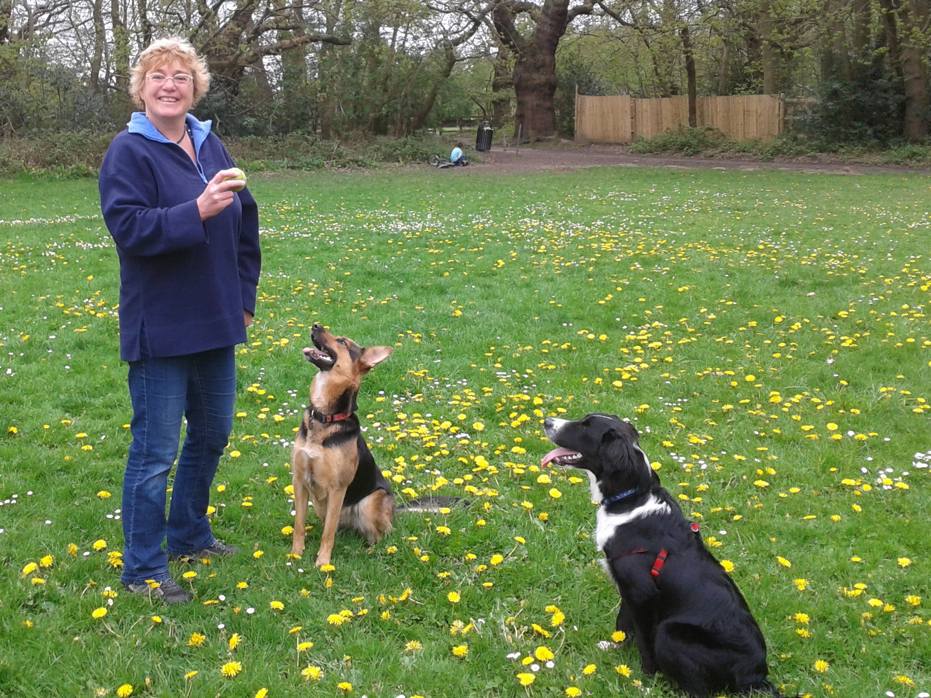 Tanya's Waggy Tail Walks