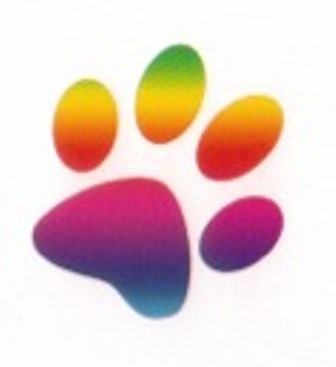 All Weather Paws