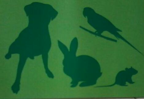 CB Petcare
