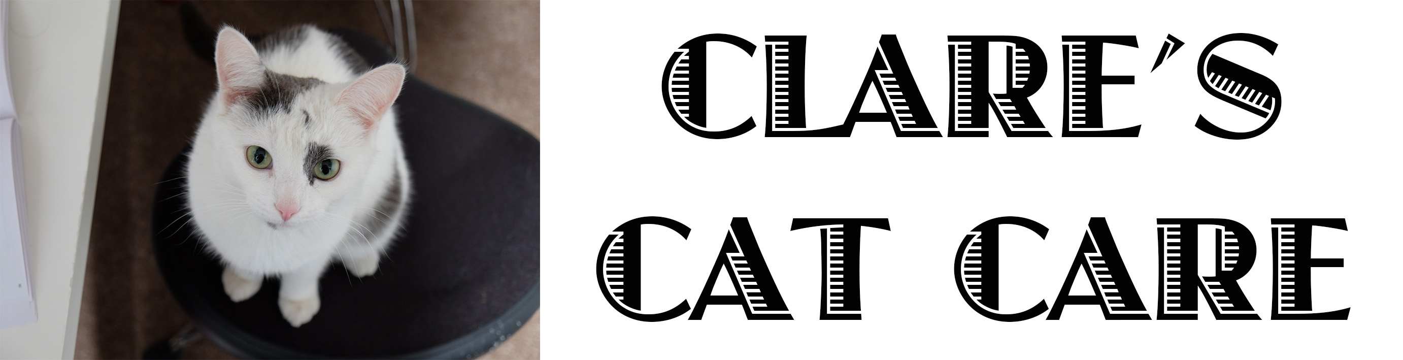 Clare's Cat Care