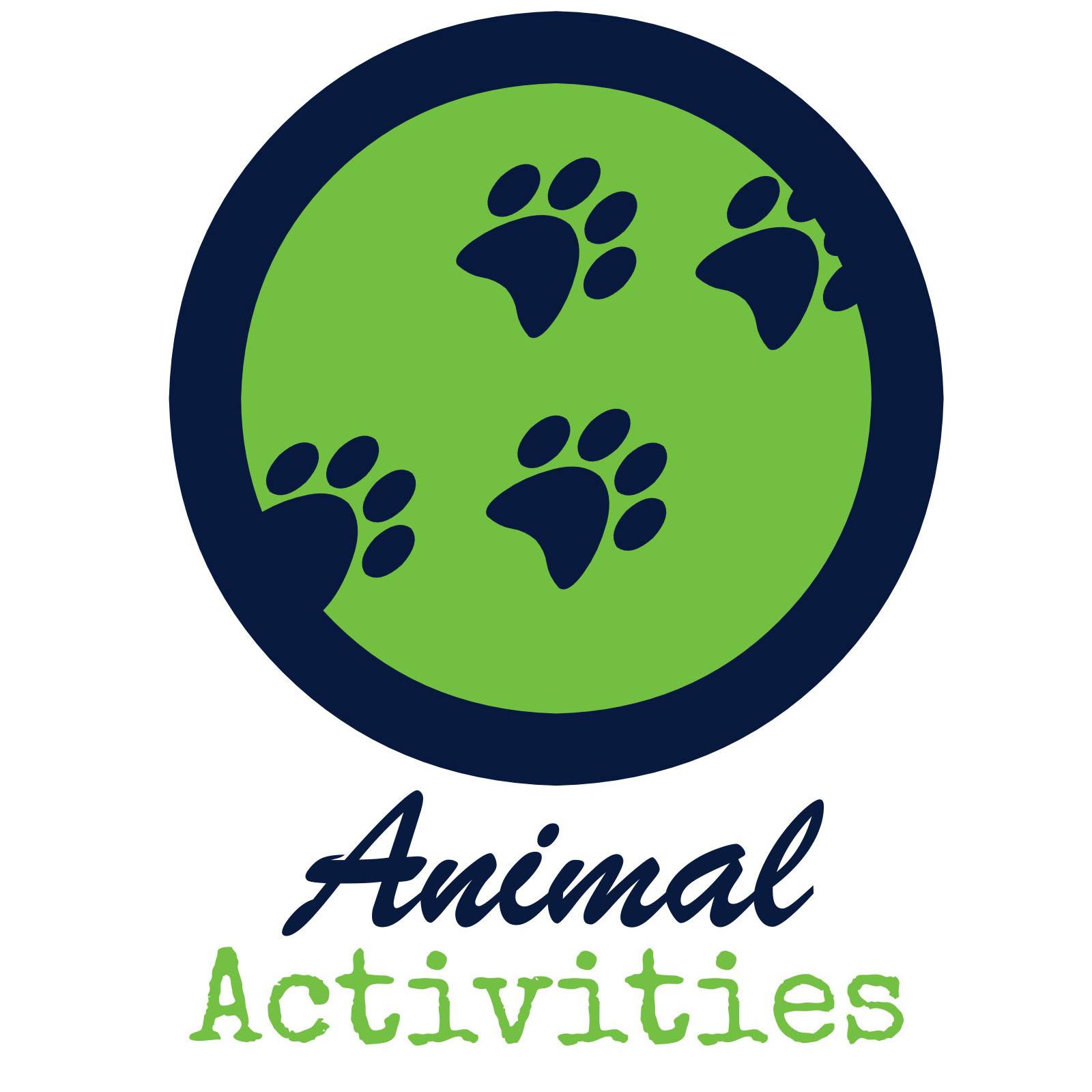 Animal Activities
