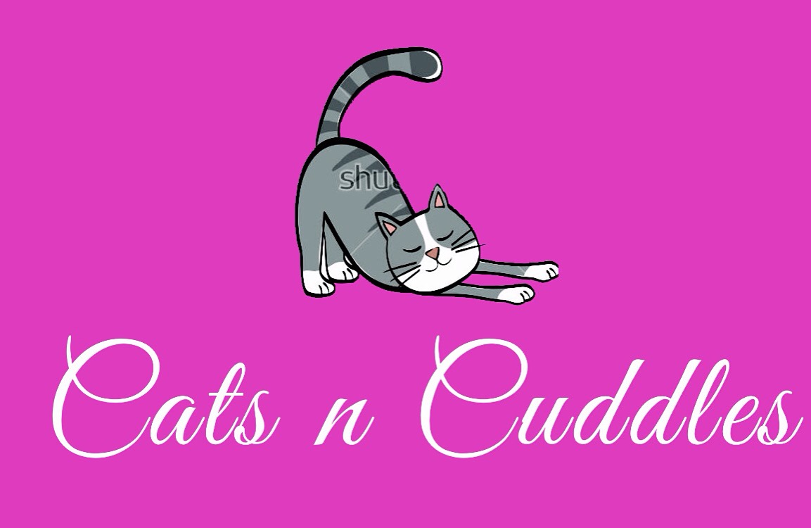 Cats n Cuddles
