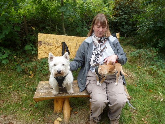 Pet Sitters 30 miles of NG175BJ