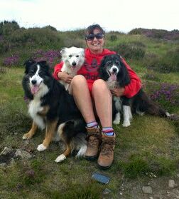Aston Pet Services