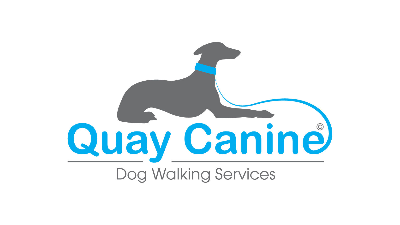 Quay Canine Daycare & Home Boarding Services