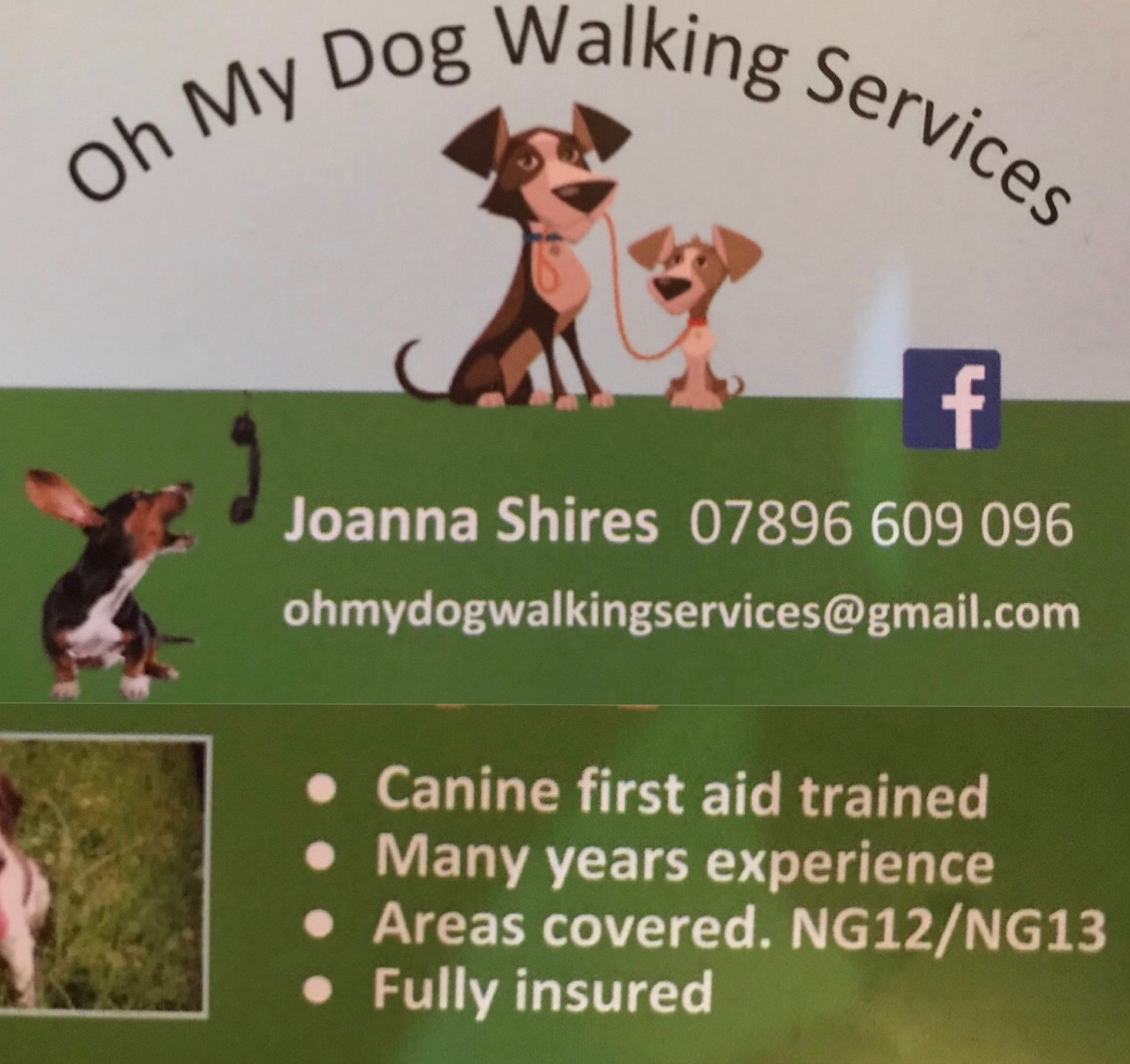 Oh My Dog Walking Services