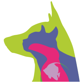 Flintshire Petsisters 