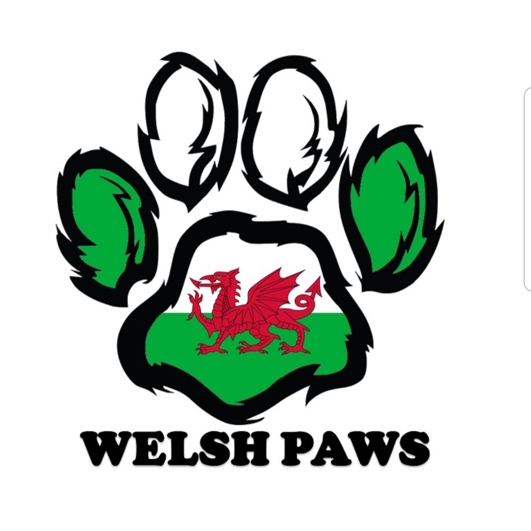 WELSH PAWS