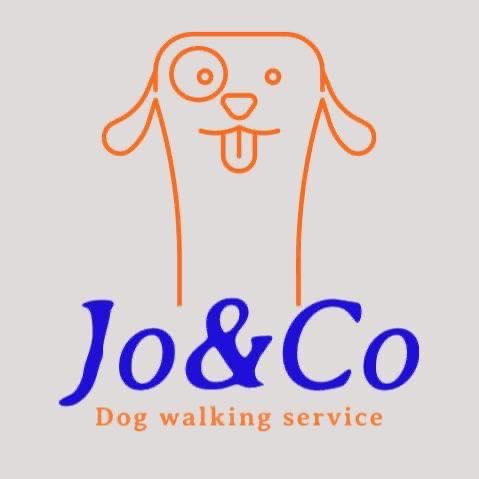 Jo&Co dog walking service