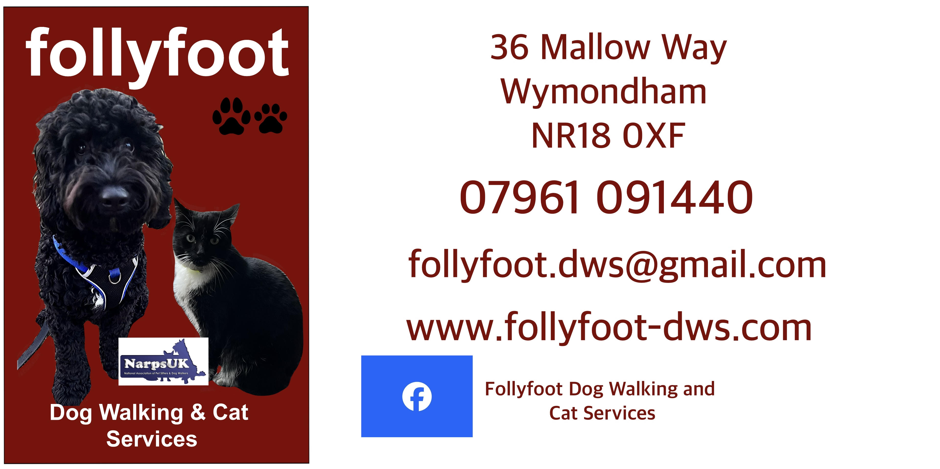 follyfoot dws