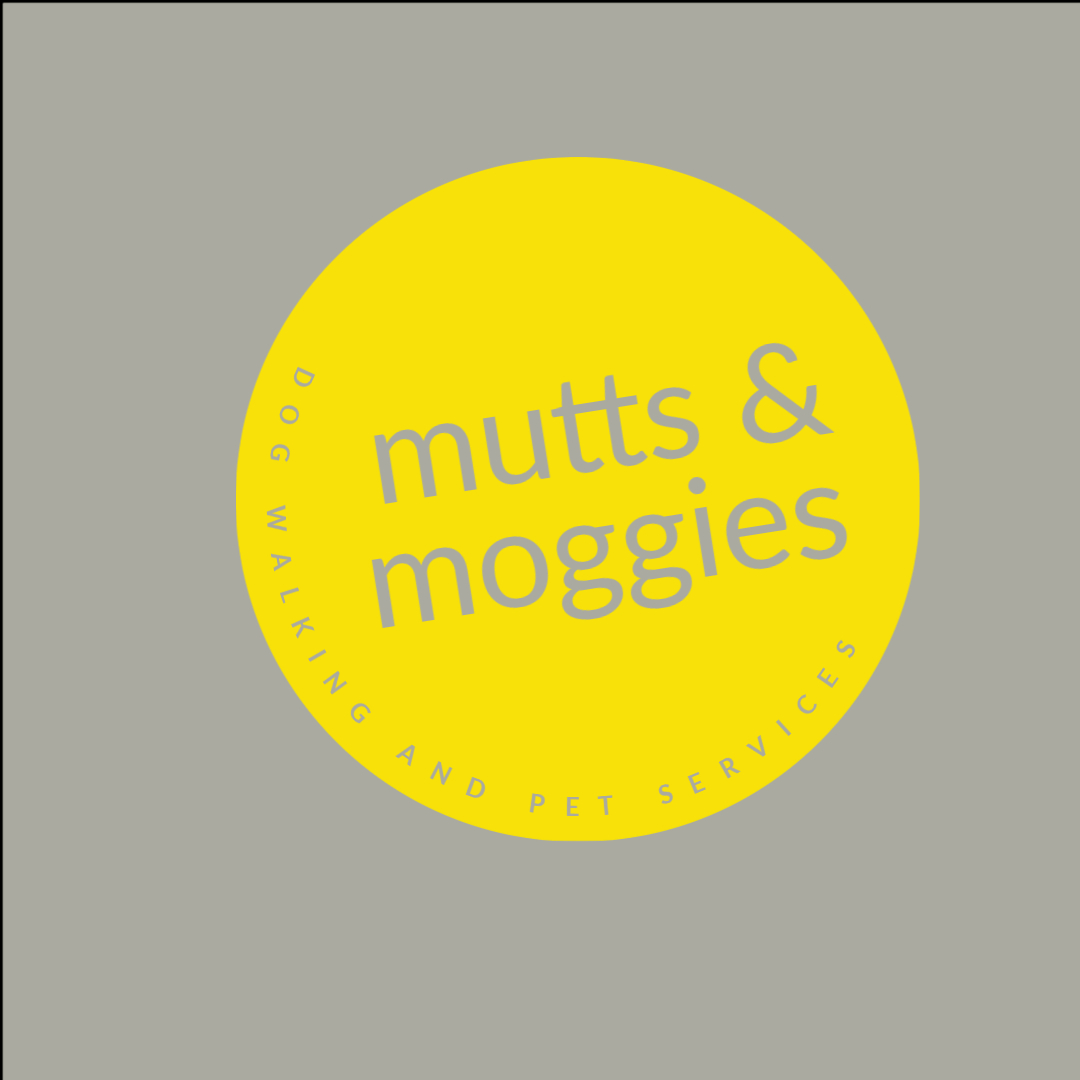Mutts And Moggies (York)