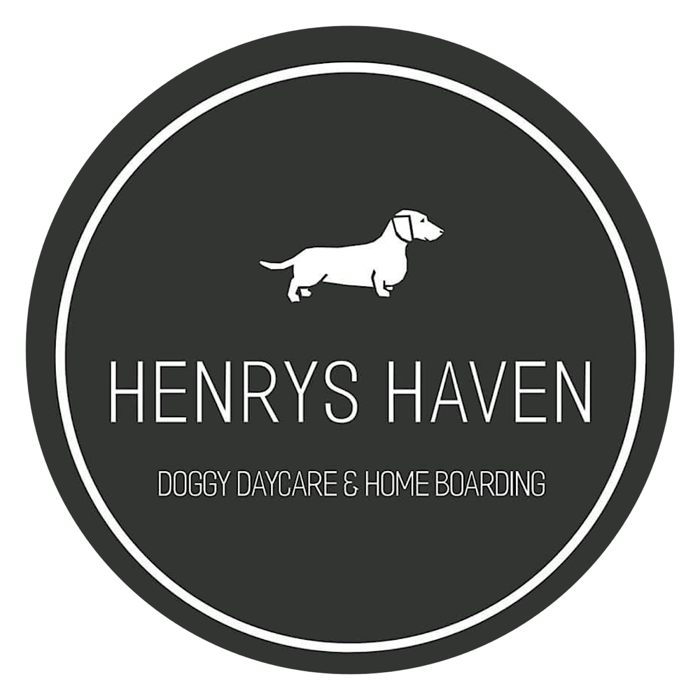 Henrys Haven Doggy Daycare & Home Boarding