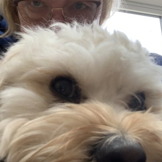 profile user photo