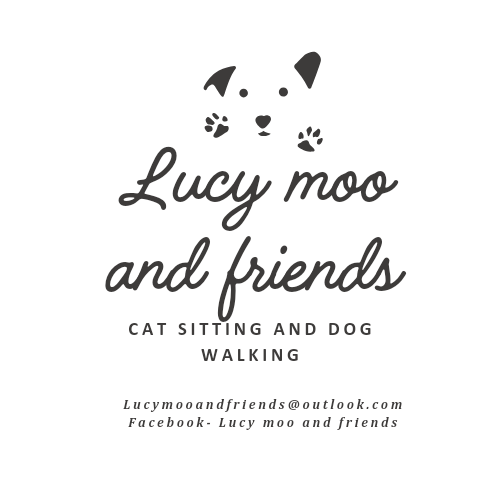 Lucy Moo and Friends