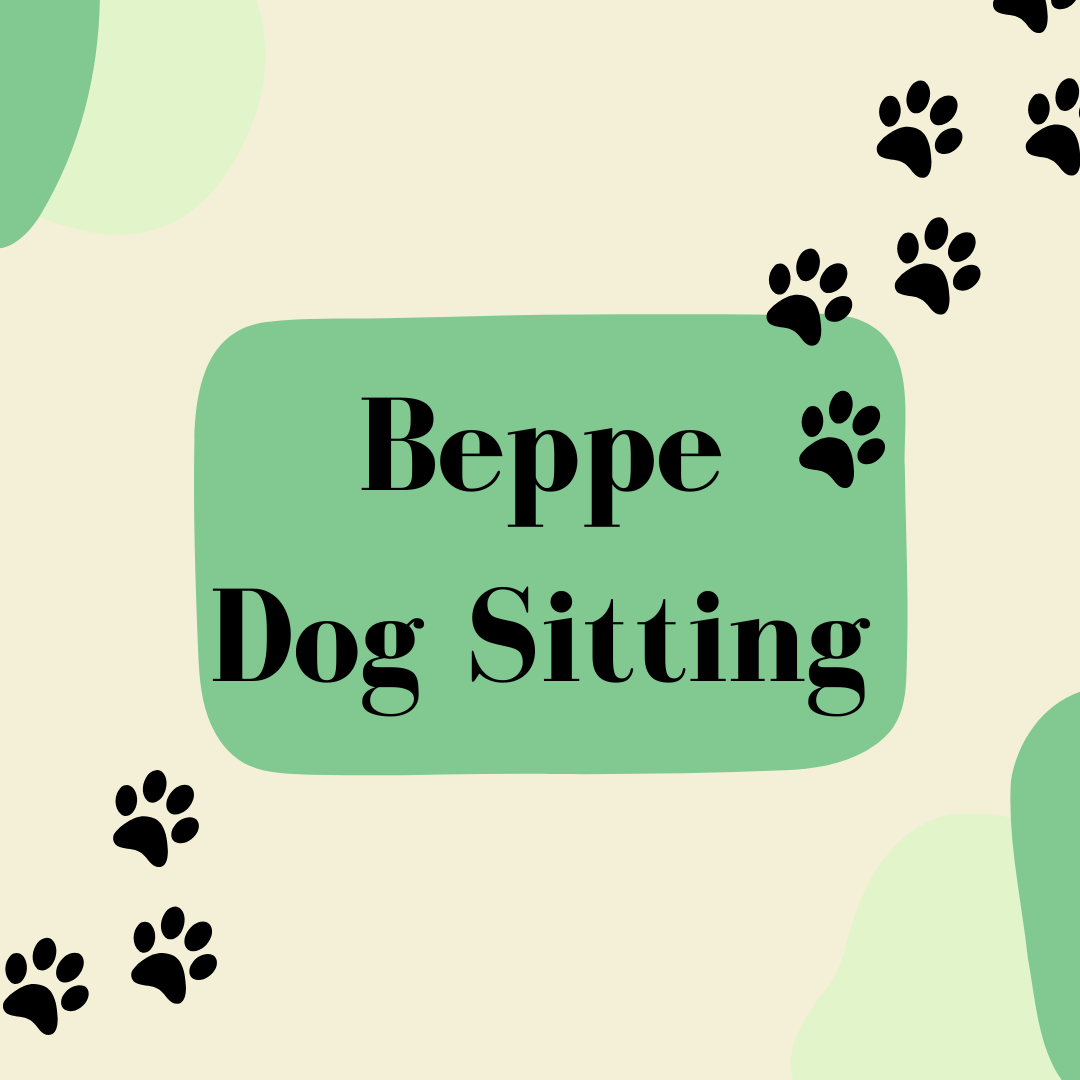 Beppe Dog Sitting