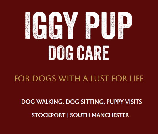 Iggy Pup dog care