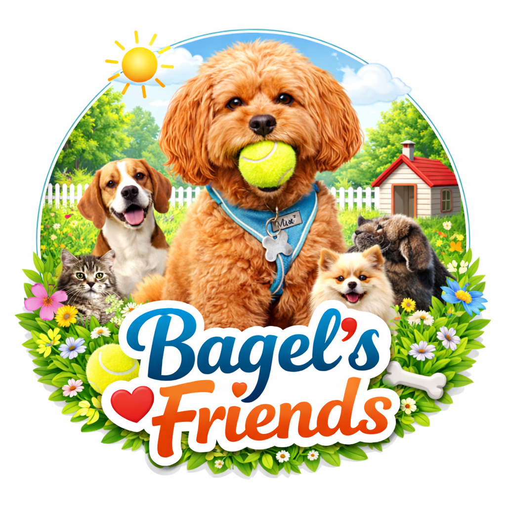 Bagel’s Friends